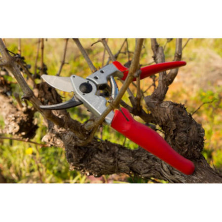 FELCO 17 Allzweck-Baum-, Reb- und Gartenschere