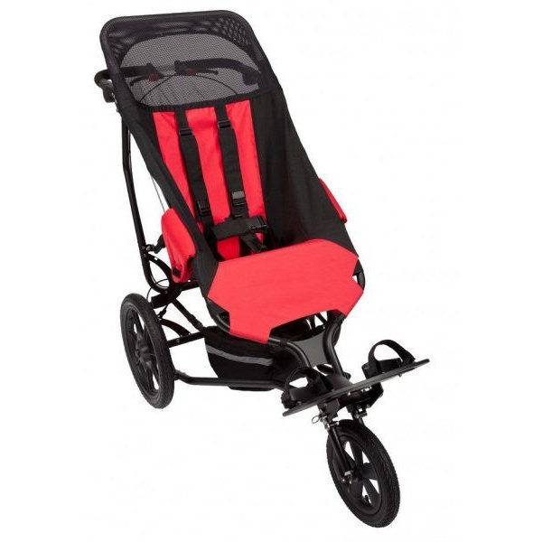 Rehabuggy - Deltabuggy