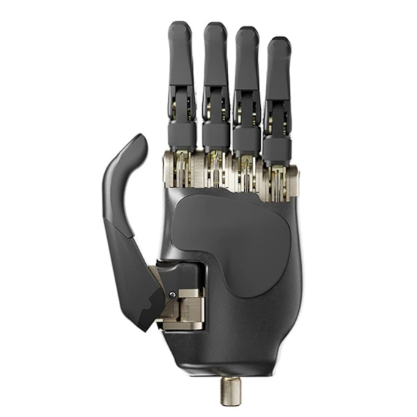 2. ausgestreckte Handprothese