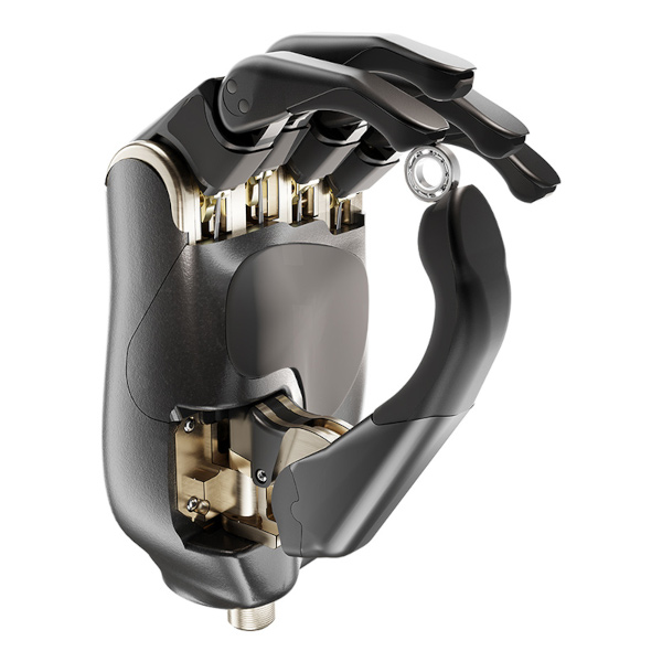 1. Metacarpal GEM greift ein kleines Objekt