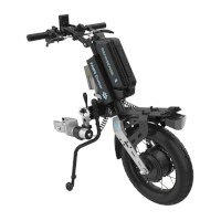 PAWS CRUISER 16''
