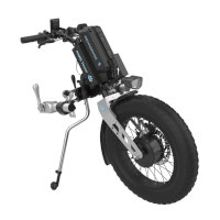 PAWS TOURER 20''