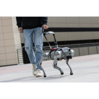 Roboter-Blindenhund mit Stimme